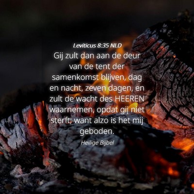 Picture 04 - Leviticus 8:35 NLD - Gij zult dan aan de deur van de tent der - Bible Verse Picture