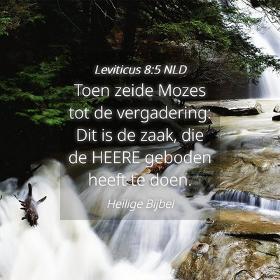 Picture 04 - Leviticus 8:5 NLD - Toen zeide Mozes tot de vergadering: Dit is de - Bible Verse Picture
