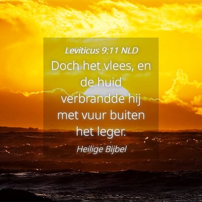Picture 04 - Leviticus 9:11 NLD - Doch het vlees, en de huid verbrandde hij met - Bible Verse Picture