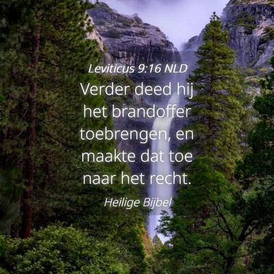 Picture 04 - Leviticus 9:16 NLD - Verder deed hij het brandoffer toebrengen, en - Bible Verse Picture