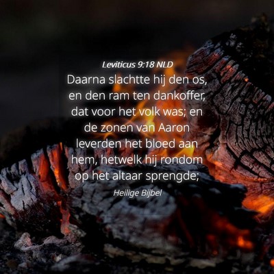 Picture 04 - Leviticus 9:18 NLD - Daarna slachtte hij den os, en den ram ten - Bible Verse Picture