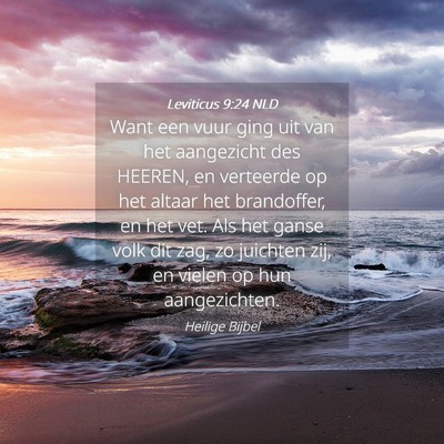 Picture 04 - Leviticus 9:24 NLD - Want een vuur ging uit van het aangezicht des - Bible Verse Picture