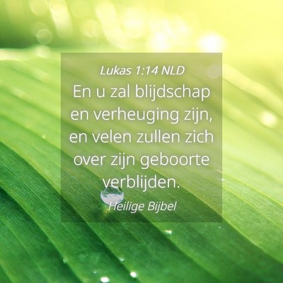 Picture 04 - Lukas 1:14 NLD - En u zal blijdschap en verheuging zijn, en velen - Bible Verse Picture