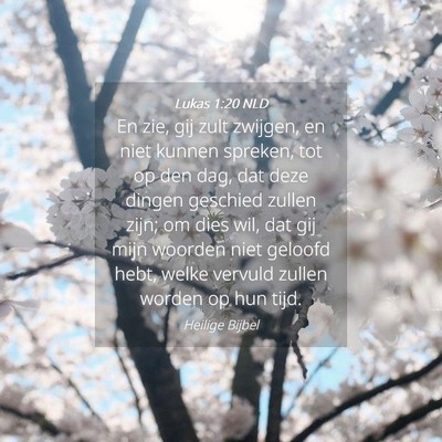 Picture 04 - Lukas 1:20 NLD - En zie, gij zult zwijgen, en niet kunnen spreken, - Bible Verse Picture