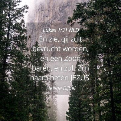 Picture 04 - Lukas 1:31 NLD - En zie, gij zult bevrucht worden, en een Zoon - Bible Verse Picture