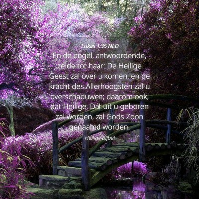 Picture 04 - Lukas 1:35 NLD - En de engel, antwoordende, zeide tot haar: De - Bible Verse Picture