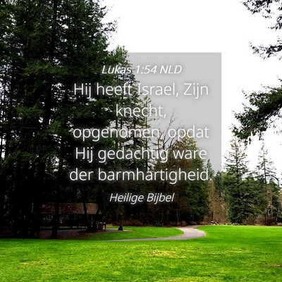 Picture 04 - Lukas 1:54 NLD - Hij heeft Israel, Zijn knecht, opgenomen, opdat - Bible Verse Picture