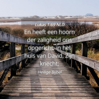 Picture 04 - Lukas 1:69 NLD - En heeft een hoorn der zaligheid ons opgericht, - Bible Verse Picture