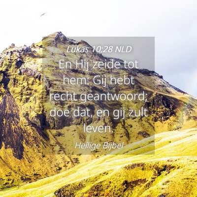 Picture 04 - Lukas 10:28 NLD - En Hij zeide tot hem: Gij hebt recht geantwoord; - Bible Verse Picture