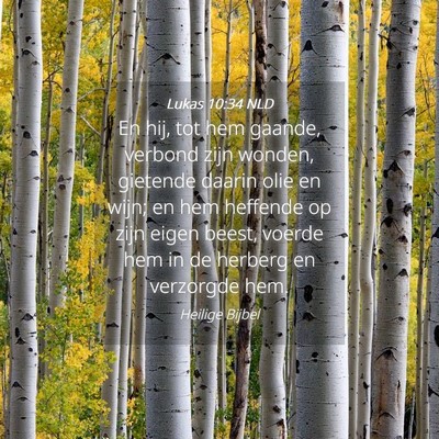 Picture 04 - Lukas 10:34 NLD - En hij, tot hem gaande, verbond zijn wonden, - Bible Verse Picture