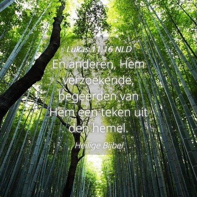 Picture 04 - Lukas 11:16 NLD - En anderen, Hem verzoekende, begeerden van Hem - Bible Verse Picture
