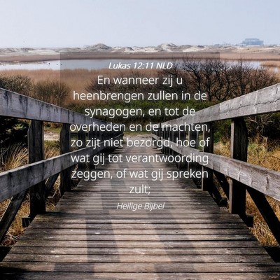 Picture 04 - Lukas 12:11 NLD - En wanneer zij u heenbrengen zullen in de - Bible Verse Picture