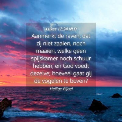 Picture 04 - Lukas 12:24 NLD - Aanmerkt de raven, dat zij niet zaaien, noch - Bible Verse Picture