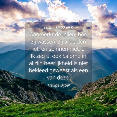 Picture 04 - Lukas 12:27 NLD - Aanmerkt de lelien, hoe zij wassen; zij arbeiden - Bible Verse Picture