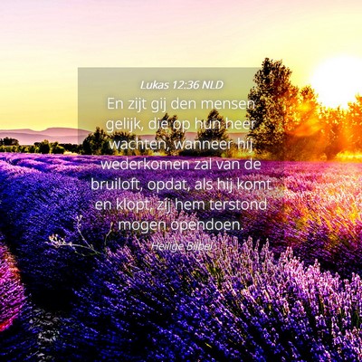 Picture 04 - Lukas 12:36 NLD - En zijt gij den mensen gelijk, die op hun heer - Bible Verse Picture