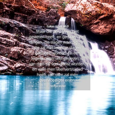 Picture 04 - Lukas 12:48 NLD - Maar die denzelven niet geweten heeft, en gedaan - Bible Verse Picture