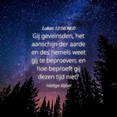 Picture 04 - Lukas 12:56 NLD - Gij geveinsden, het aanschijn der aarde en des - Bible Verse Picture