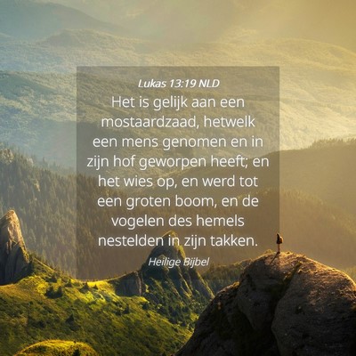 Picture 04 - Lukas 13:19 NLD - Het is gelijk aan een mostaardzaad, hetwelk een - Bible Verse Picture