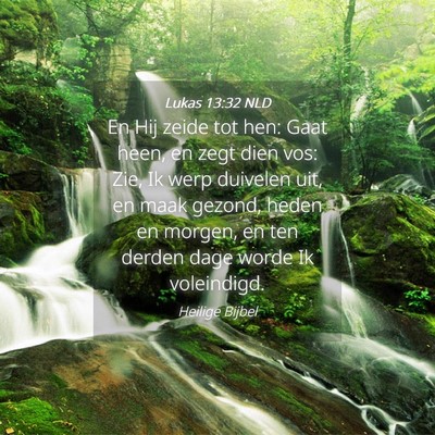 Picture 04 - Lukas 13:32 NLD - En Hij zeide tot hen: Gaat heen, en zegt dien - Bible Verse Picture