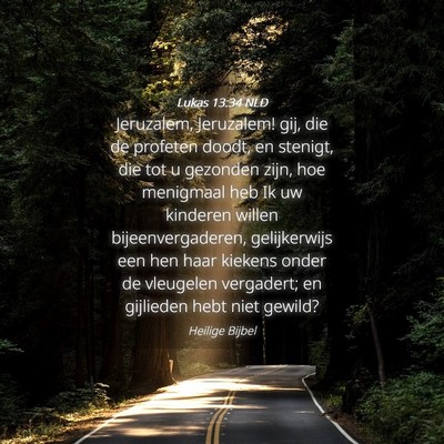 Picture 04 - Lukas 13:34 NLD - Jeruzalem, Jeruzalem! gij, die de profeten doodt, - Bible Verse Picture