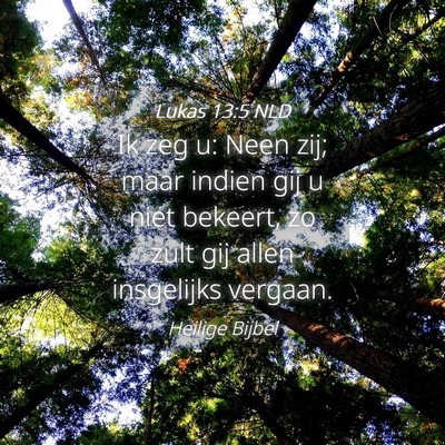 Picture 04 - Lukas 13:5 NLD - Ik zeg u: Neen zij; maar indien gij u niet - Bible Verse Picture
