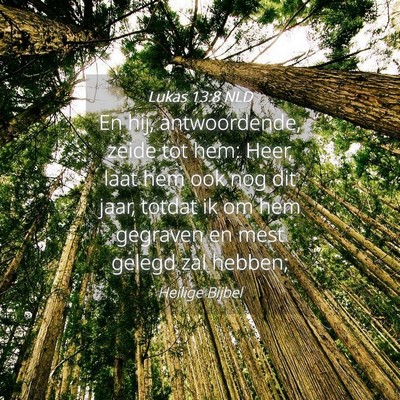Picture 04 - Lukas 13:8 NLD - En hij, antwoordende, zeide tot hem: Heer, laat - Bible Verse Picture