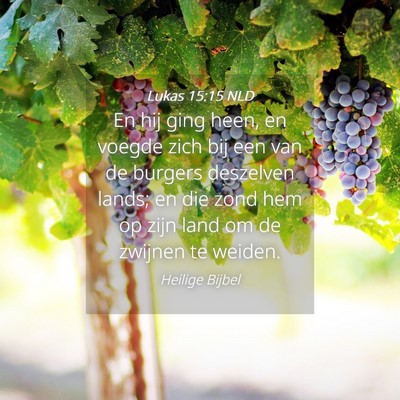 Picture 04 - Lukas 15:15 NLD - En hij ging heen, en voegde zich bij een van de - Bible Verse Picture