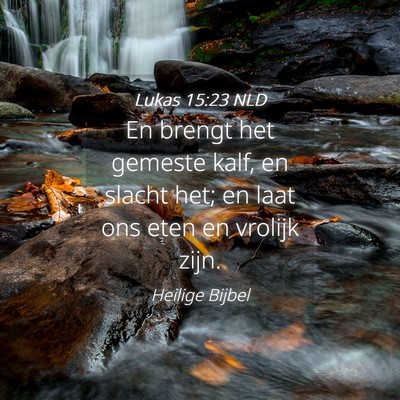 Picture 04 - Lukas 15:23 NLD - En brengt het gemeste kalf, en slacht het; en - Bible Verse Picture