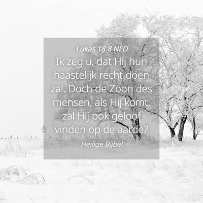 Picture 04 - Lukas 18:8 NLD - Ik zeg u, dat Hij hun haastelijk recht doen zal. - Bible Verse Picture