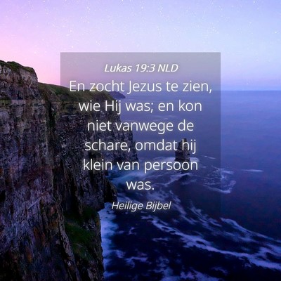 Picture 04 - Lukas 19:3 NLD - En zocht Jezus te zien, wie Hij was; en kon niet - Bible Verse Picture