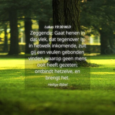 Picture 04 - Lukas 19:30 NLD - Zeggende: Gaat henen in dat vlek, dat tegenover - Bible Verse Picture