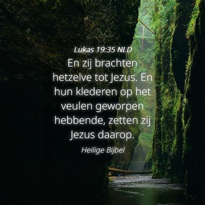 Picture 04 - Lukas 19:35 NLD - En zij brachten hetzelve tot Jezus. En hun - Bible Verse Picture