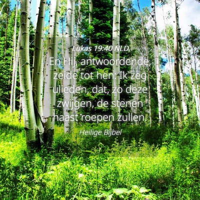 Picture 04 - Lukas 19:40 NLD - En Hij, antwoordende, zeide tot hen: Ik zeg - Bible Verse Picture