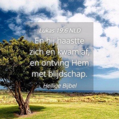 Picture 04 - Lukas 19:6 NLD - En hij haastte zich en kwam af, en ontving Hem - Bible Verse Picture