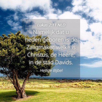 Picture 04 - Lukas 2:11 NLD - Namelijk dat u heden geboren is de Zaligmaker, - Bible Verse Picture