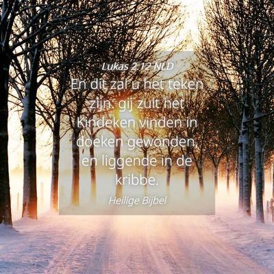 Picture 04 - Lukas 2:12 NLD - En dit zal u het teken zijn: gij zult het - Bible Verse Picture