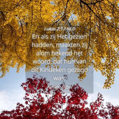 Picture 04 - Lukas 2:17 NLD - En als zij Het gezien hadden, maakten zij alom - Bible Verse Picture