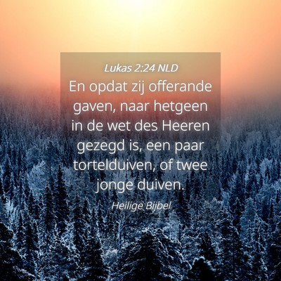 Picture 04 - Lukas 2:24 NLD - En opdat zij offerande gaven, naar hetgeen in de - Bible Verse Picture