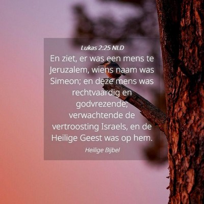 Picture 04 - Lukas 2:25 NLD - En ziet, er was een mens te Jeruzalem, wiens naam - Bible Verse Picture
