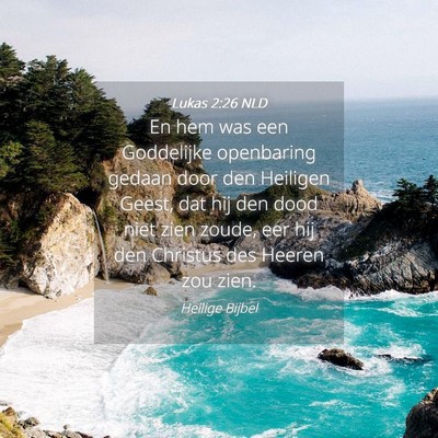 Picture 04 - Lukas 2:26 NLD - En hem was een Goddelijke openbaring gedaan door - Bible Verse Picture