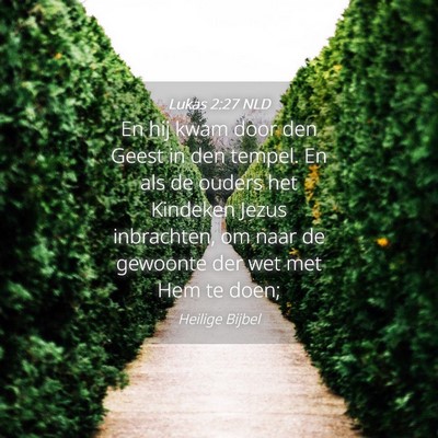 Picture 04 - Lukas 2:27 NLD - En hij kwam door den Geest in den tempel. En als - Bible Verse Picture
