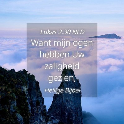 Picture 04 - Lukas 2:30 NLD - Want mijn ogen hebben Uw zaligheid - Bible Verse Picture