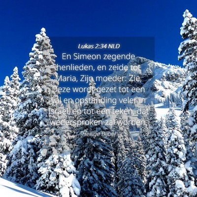 Picture 04 - Lukas 2:34 NLD - En Simeon zegende henlieden, en zeide tot Maria, - Bible Verse Picture