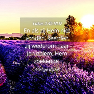 Picture 04 - Lukas 2:45 NLD - En als zij Hem niet vonden, keerden zij wederom - Bible Verse Picture