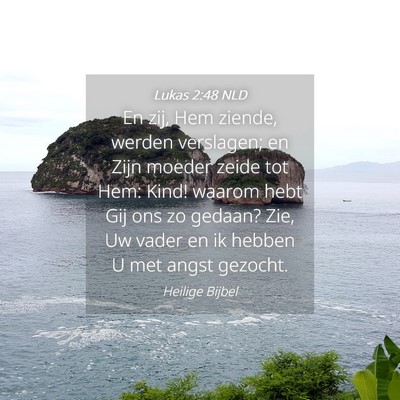 Picture 04 - Lukas 2:48 NLD - En zij, Hem ziende, werden verslagen; en Zijn - Bible Verse Picture