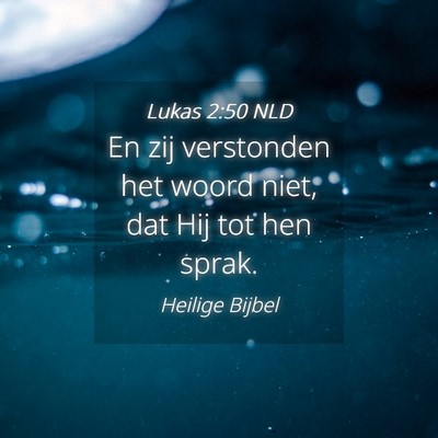 Picture 04 - Lukas 2:50 NLD - En zij verstonden het woord niet, dat Hij tot hen - Bible Verse Picture