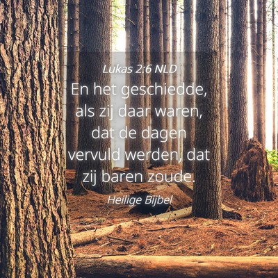 Picture 04 - Lukas 2:6 NLD - En het geschiedde, als zij daar waren, dat de - Bible Verse Picture