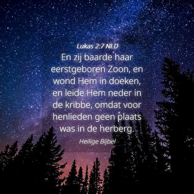 Picture 04 - Lukas 2:7 NLD - En zij baarde haar eerstgeboren Zoon, en wond Hem - Bible Verse Picture