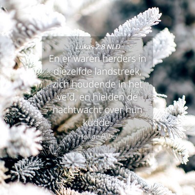 Picture 04 - Lukas 2:8 NLD - En er waren herders in diezelfde landstreek, zich - Bible Verse Picture