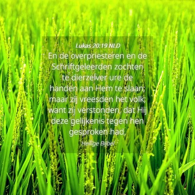 Picture 04 - Lukas 20:19 NLD - En de overpriesteren en de Schriftgeleerden - Bible Verse Picture